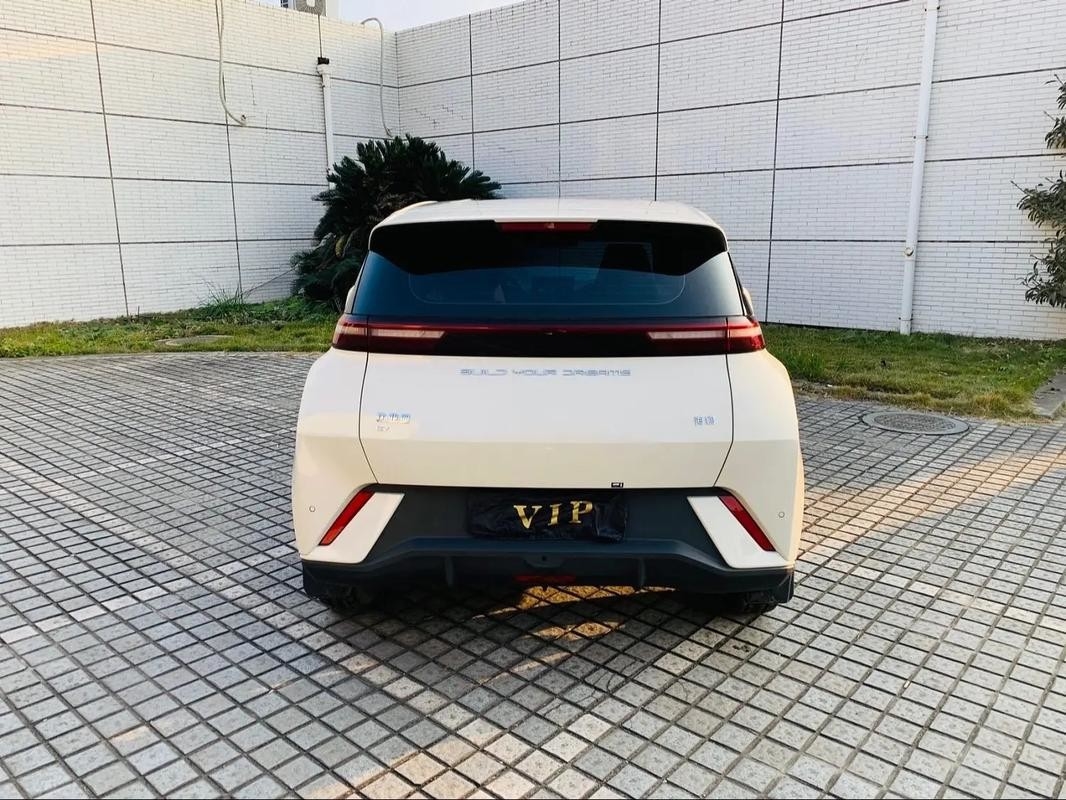 Byd Seagull 2024 Honor Edition 305km Darmowa Edycja Samochód Elektryczny Pojazdy Nowej Energii
